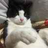 べってぃ00