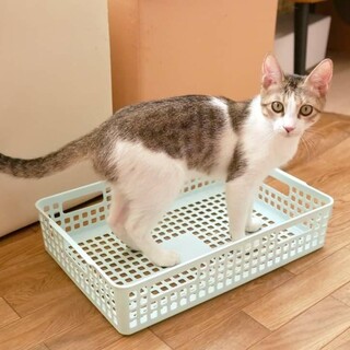 甘えん坊の杏ちゃん♀️