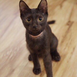 遊ぶの大好き魔女ばぶジジ君♂️