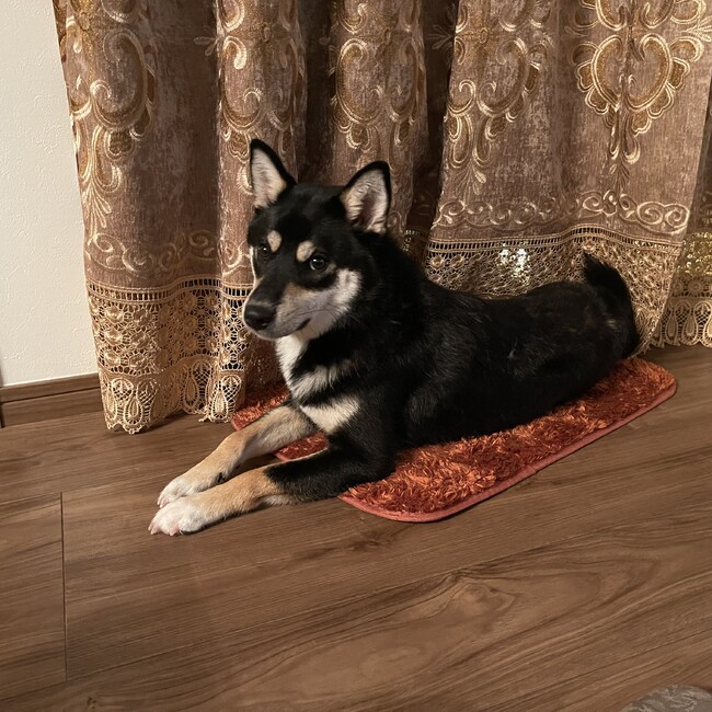 LaFemmeのカバー写真