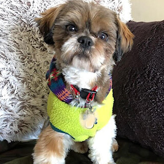 仮名：笑太☆ご応募多数につき募集終了いたします