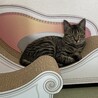 おすまし