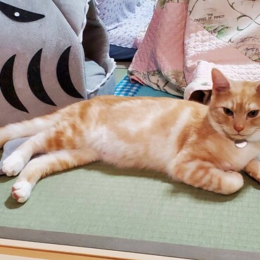 接客中