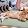 接客中