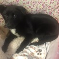 多方面から問い合わせ有りで募集ストップ致します。