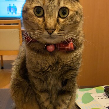 今日も美人♡