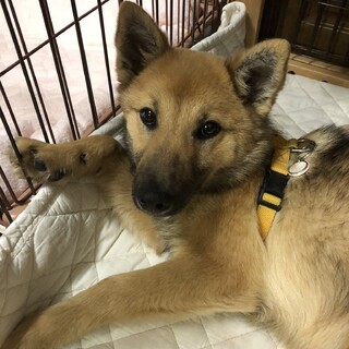 「のび太」男の子