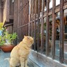 くちゃろう