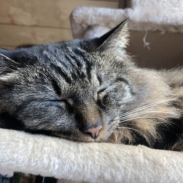 この顔に癒やされます＝＾＿＾＝