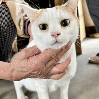 ネネちゃん♡家族ができました