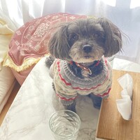 くぅー