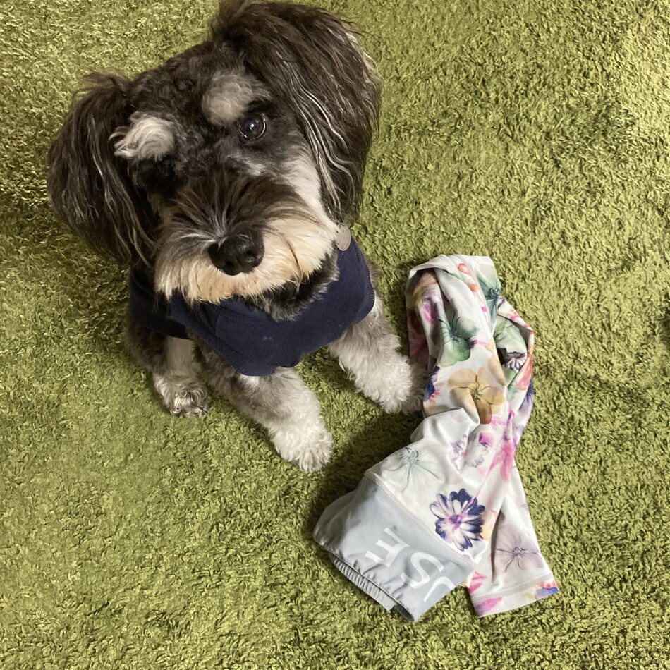 むっくのカバー写真