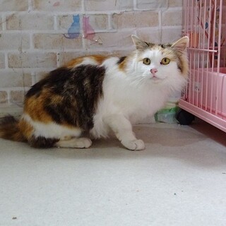 一緒に幸せになりたいな⭐️