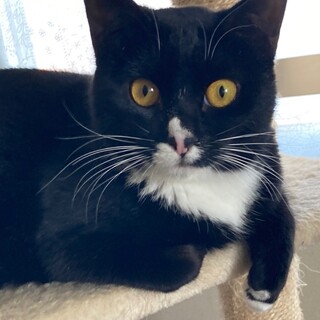 人慣れ抜群かわいい甘えん坊さん♪