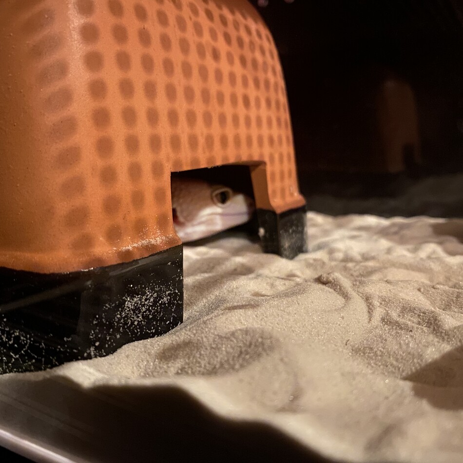 mariのカバー写真