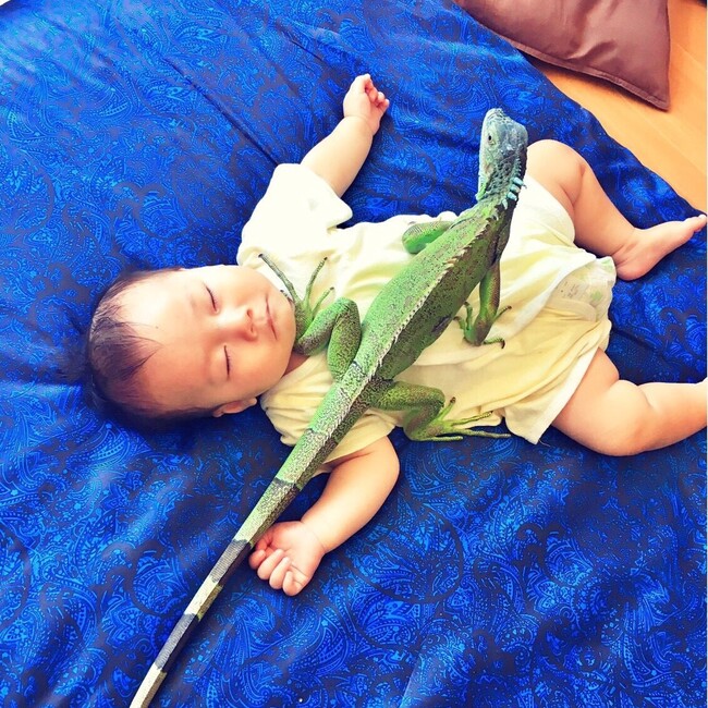 安田太郎のカバー写真