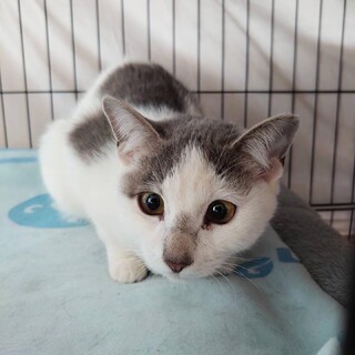 恥ずかしがり屋の女の子♡