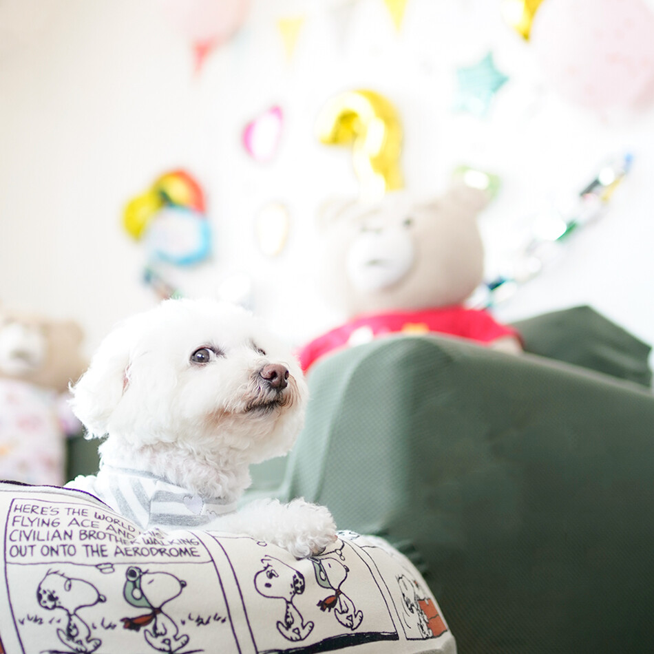 コロンのカバー写真