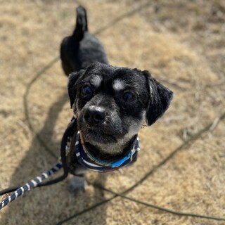 好奇心いっぱい☆Sahaquiel