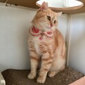 チャッピーの里親さまが決まりました♡