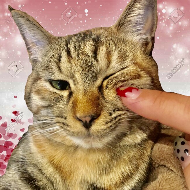 りょたぷぷのカバー写真