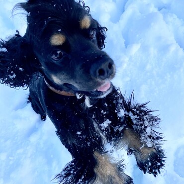 雪遊び大好き