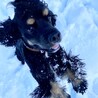 雪遊び大好き