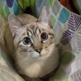 ずっとのおうち決定！ 昂林ちゃん(*^^*)