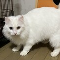 甘えん坊の男の子