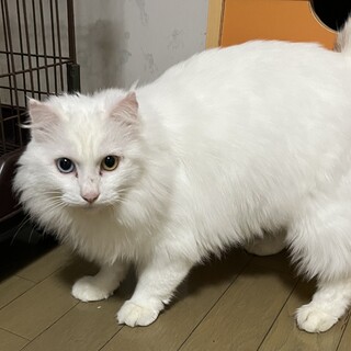 甘えん坊の男の子