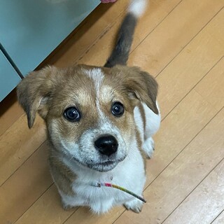 3ヶ月くらいお転婆さん！