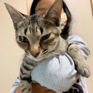 うるうるお目々の懐っこい子