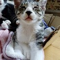 2021年7月生まれ。ごまくん。