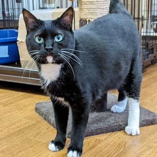 ナデナデ大好き♪　ちーちゃん♀