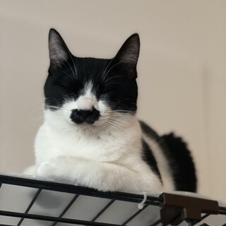 2021年7月生まれ。ずんだちゃん