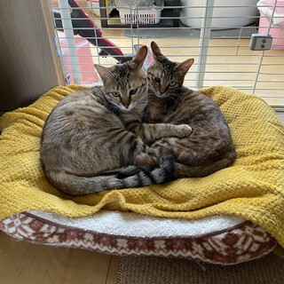 見た目で決めないで‥