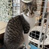 ありがとうございました★可愛いアタックちゃん サムネイル2