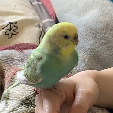 の写真