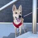 お願いします。
