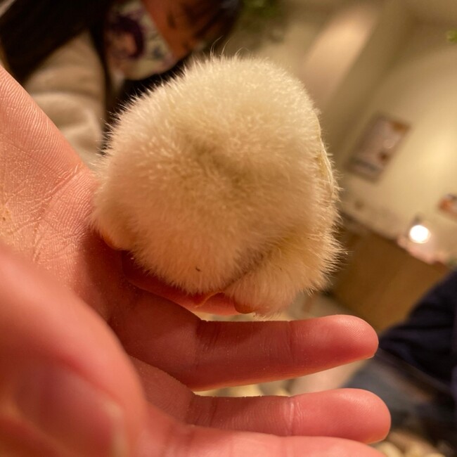 みくっくのカバー写真