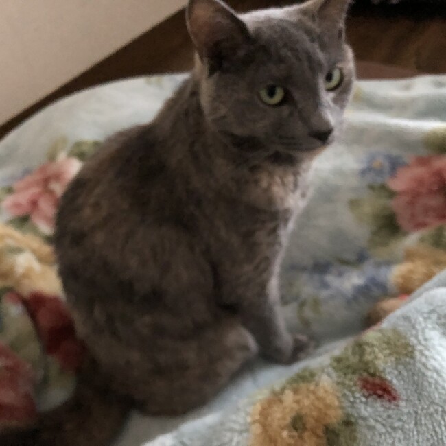 ナミサボのカバー写真