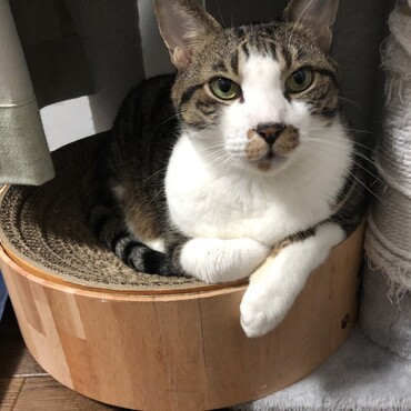 暇なこ