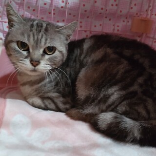 人慣れしたゴロスリの女の子☆