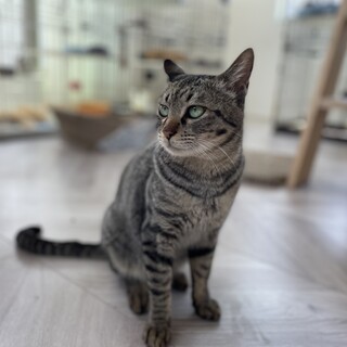 ☆超絶甘えん坊☆　うっちゃん♥