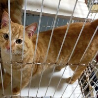 ぬん(仮名) 年齢不明