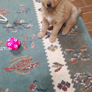 可愛い朔空くん