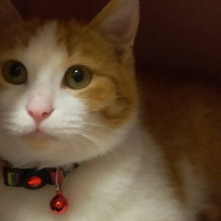 〝さん太君〟です♪