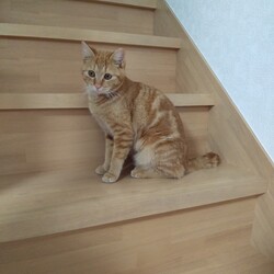 「３月のご報告」サムネイル2