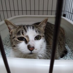 「３月のご報告」サムネイル3