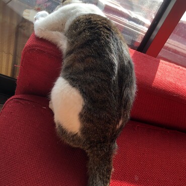 ちょっと怒ったらいじけちゃったミグ